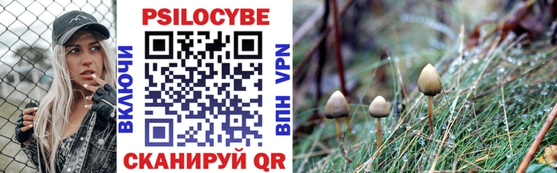 Псилоцибиновые грибы прущие грибы  shop клад  Долгопрудный  где найти  